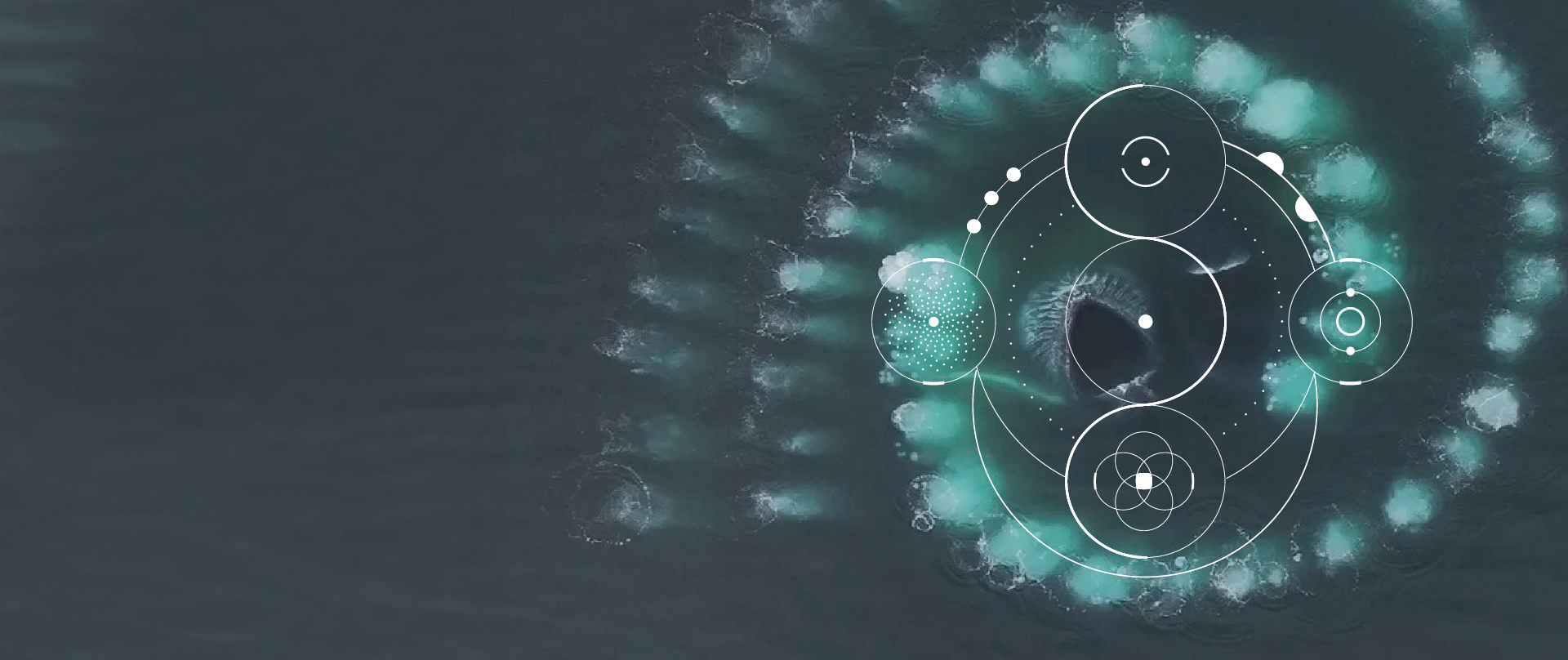 Imagem Diagnostico Regenerativo